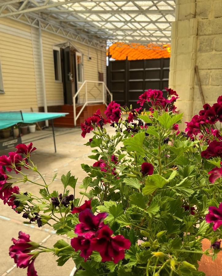 Hostel My House Каракол Екстериор снимка